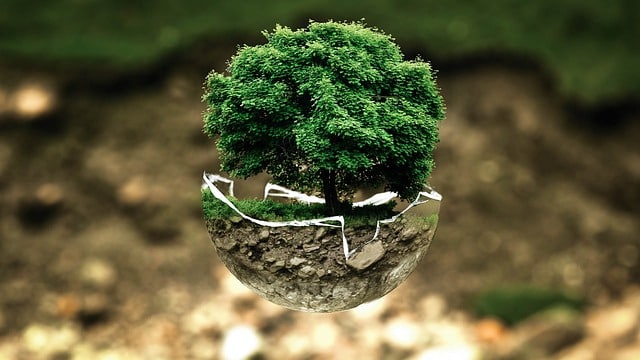 Cadre de vie et écologie